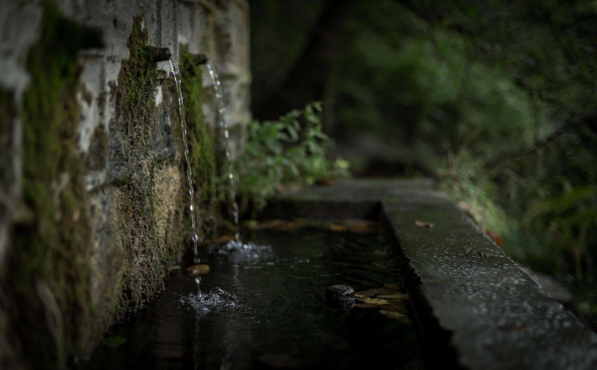 Close-up of a moss-covered stone wall with water streaming into a tranquil outdoor pool.