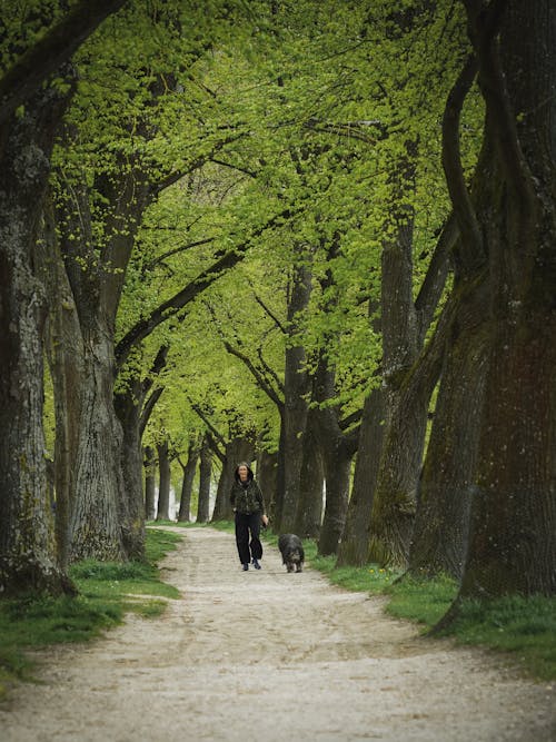 A woman walking her dog down a path in a park