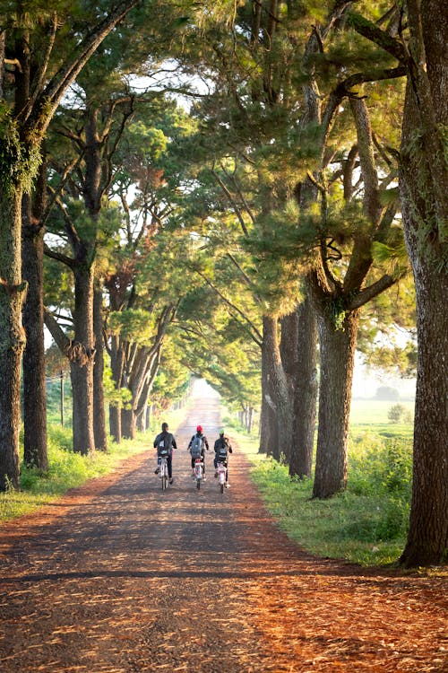 自転車に乗る人