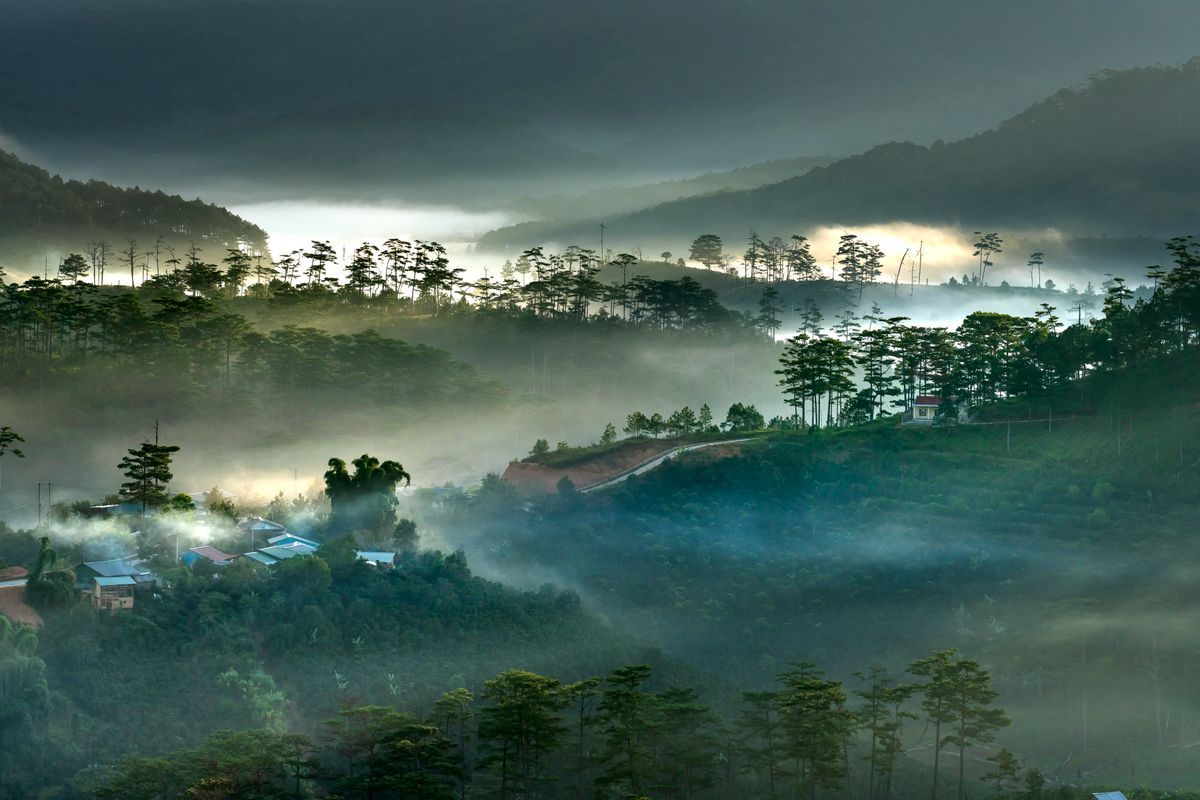 Submerged aquatic flora and natural pond littoral zone in Bonneil