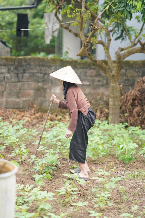 A woman in a conical hat is working in the garden