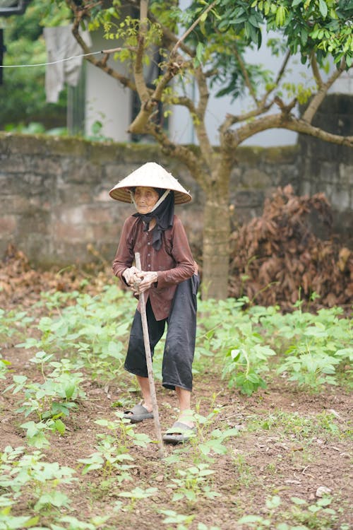 A woman in a straw hat is working in the field