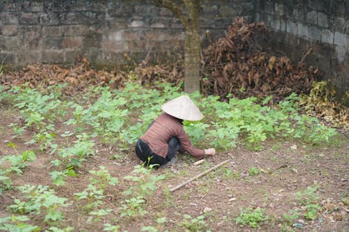 A woman in a conical hat is kneeling in the dirt