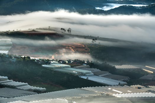 雾山壮丽的景色与黎明的温室，展现了宁静的自然与农业风貌