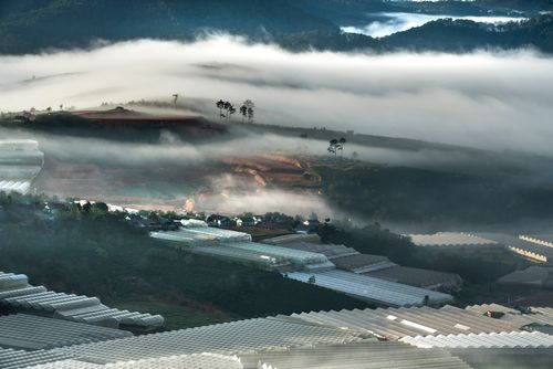 Free A breathtaking view of foggy mountain landscape with greenhouses at dawn, showcasing serene nature and agriculture. Stock Photo