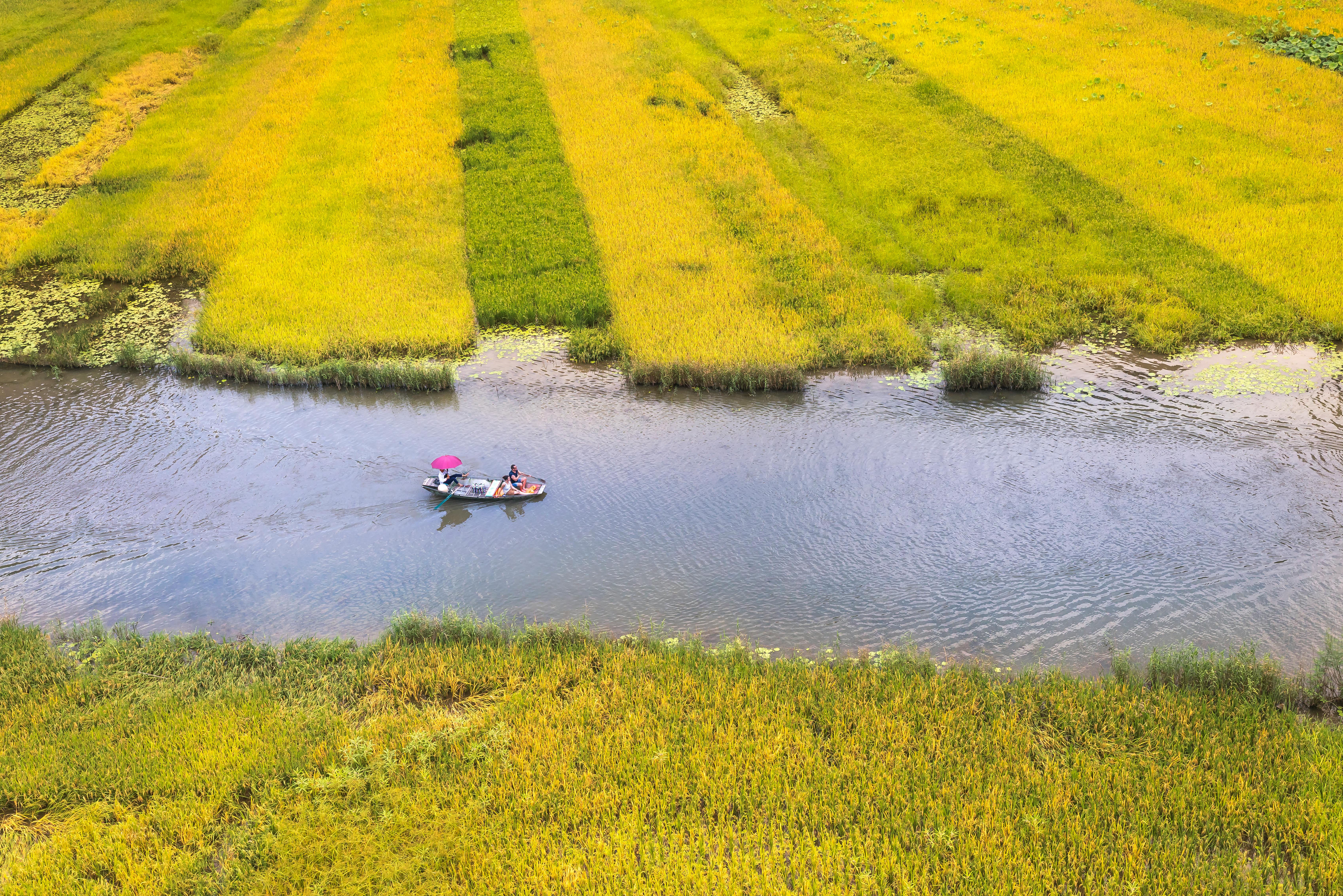从空中俯瞰郁郁葱葱的乡村田野，河流与小船构成了一幅风景