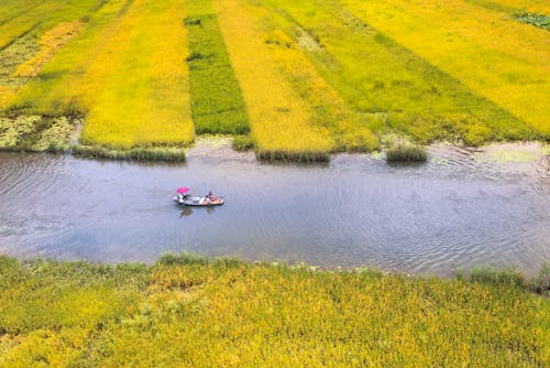 Free Boat on River Between Green Field Stock Photo