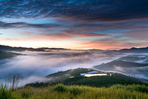 Fotografía De Campo De Hierba Verde