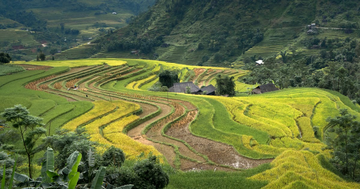 Florida Solar Installation: Complete 2025 Guide