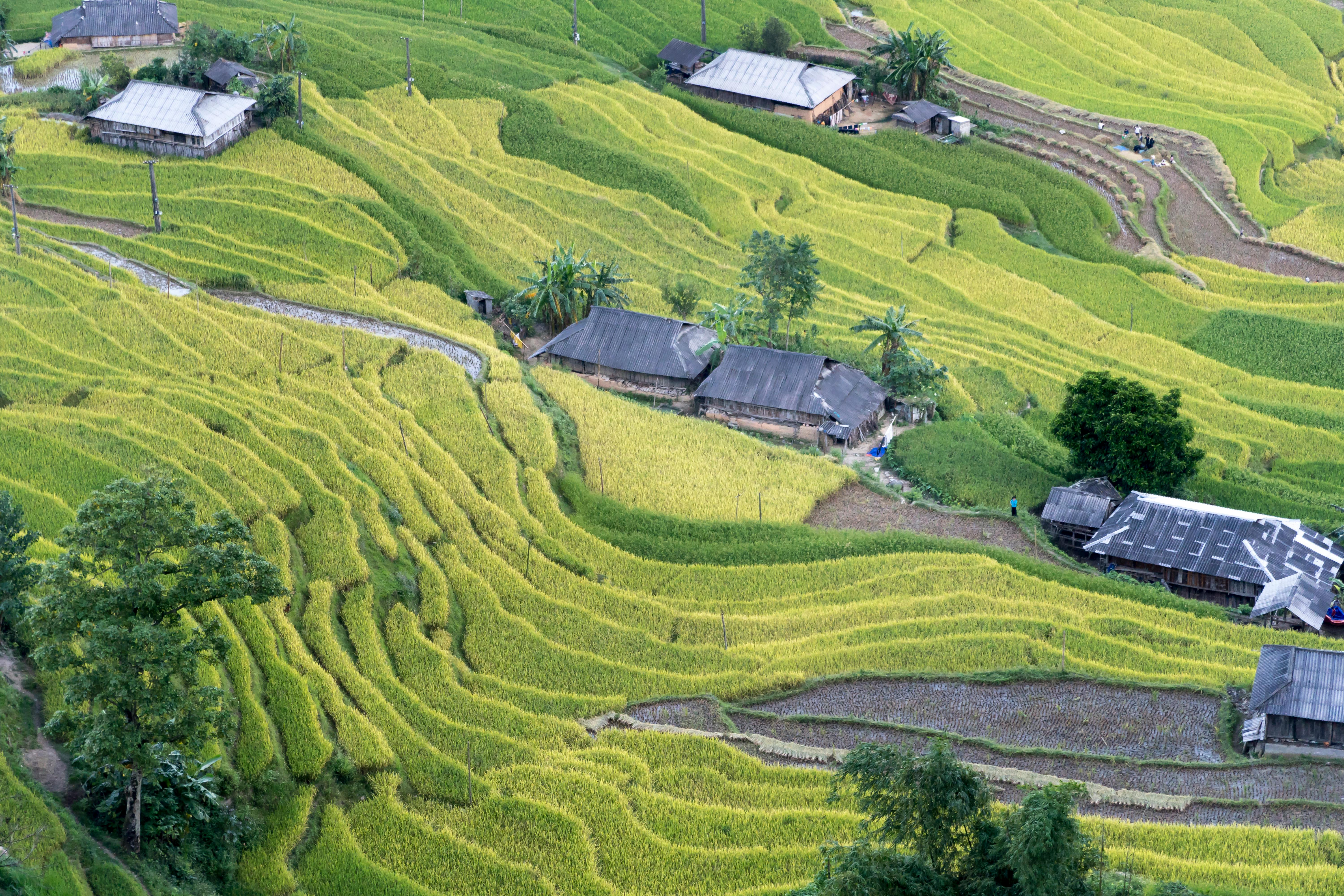 Best Solar Panels 2025: Top 10 Panel Brands Compared