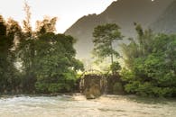 宁静的河流边，水轮环绕着茂密的雨林植被