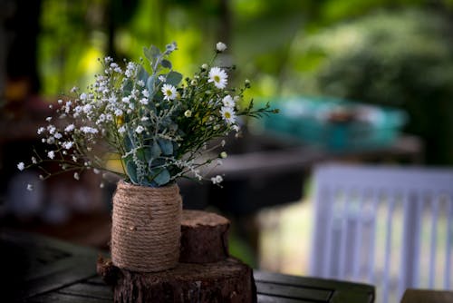 White Petaled Flowers in Vase