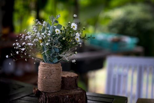 Flores De Pétalas Brancas Em Um Vaso