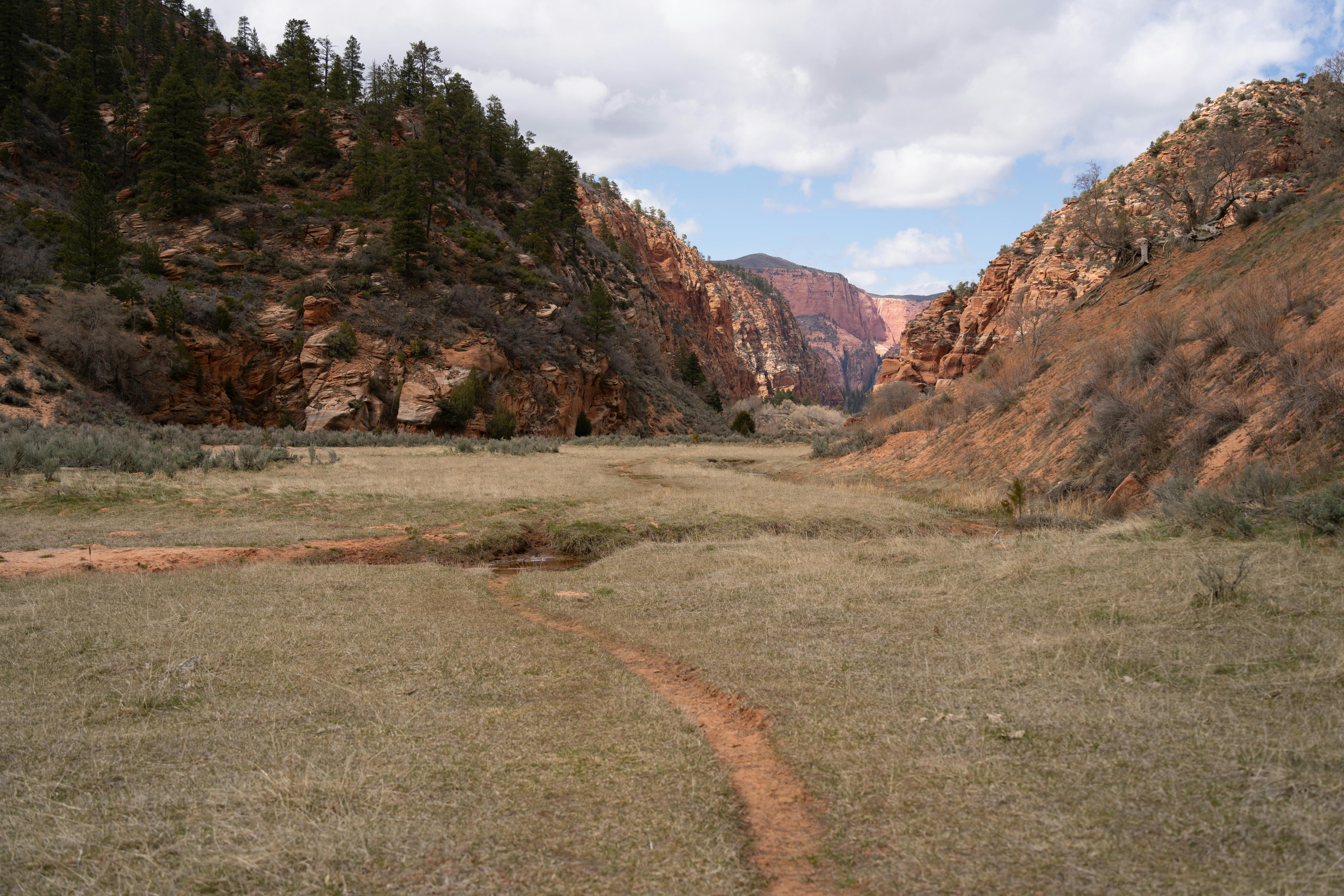 Explore the breathtaking canyon landscape near Springville, UT, featuring meadows and rocky cliffs.