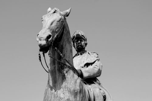 Foto d'estoc gratuïta de art, blanc i negre, cavall