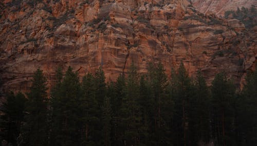 A person standing on a rock