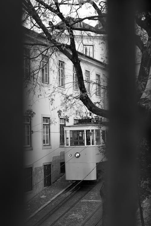 Kostenloses Stock Foto zu lissabon, öffentliche verkehrsmittel, portugal