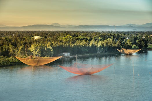 日落时分，在宁静的河流上，可以欣赏到大型渔网的美丽景色，四周绿树环绕