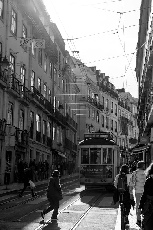 Fotos de stock gratuitas de agruparse, atracción turística, blanco y negro