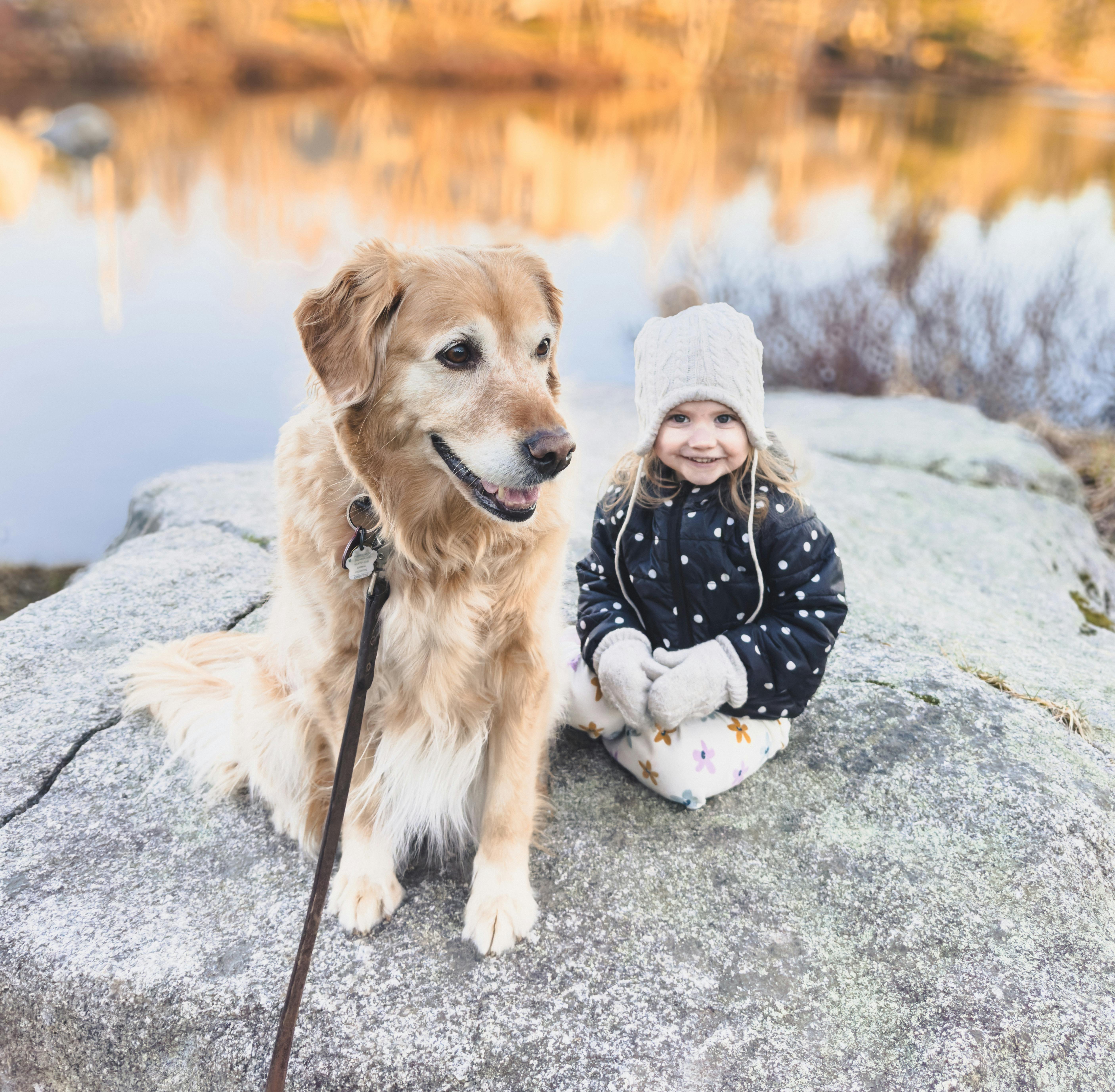 A little girl and her golden retriever sitting on a rock