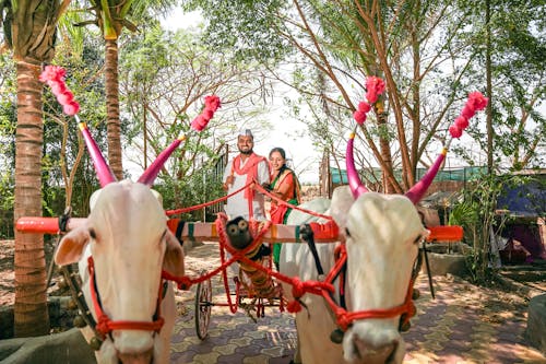 Casal De Agricultores Indianos 