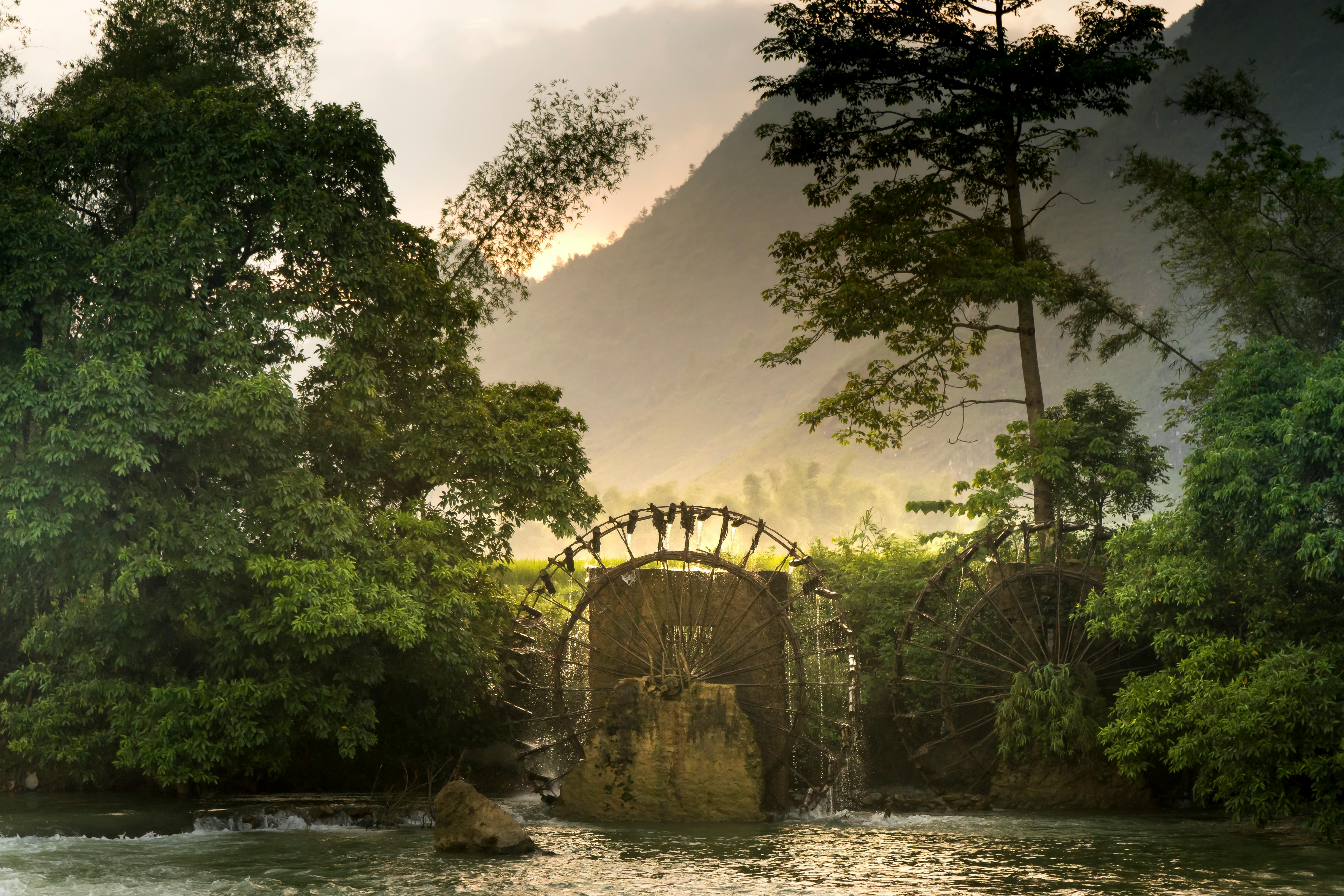 宁静的水轮景色在郁郁葱葱的绿意和黎明的山峦间，展现了大自然的和谐