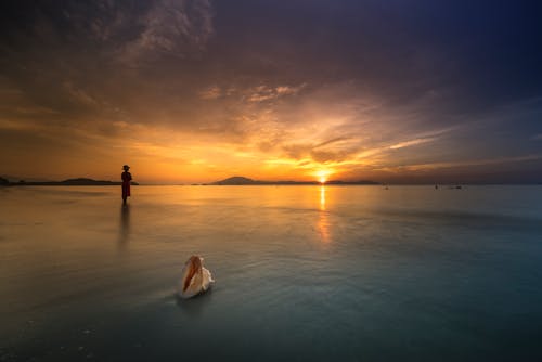무료 황금 시간 동안 얕은 물 위에 서있는 사람 스톡 사진