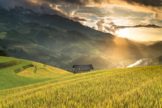 在乡村山区的景观中，梯田在戏剧性的阳光下显得充满活力