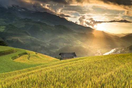 Free Vibrant terraced fields under dramatic sunlit skies in a rural mountain landscape. Stock Photo