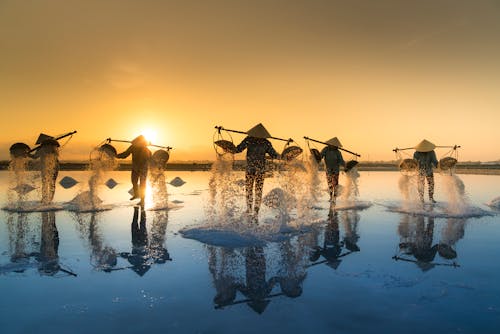 People Pouring Sea Water on Salt Field during Sunset