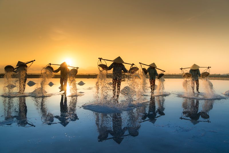 Salt harvest