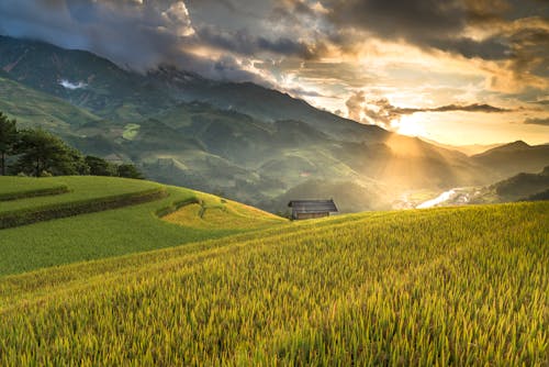 Green Grass Fields And Mountains