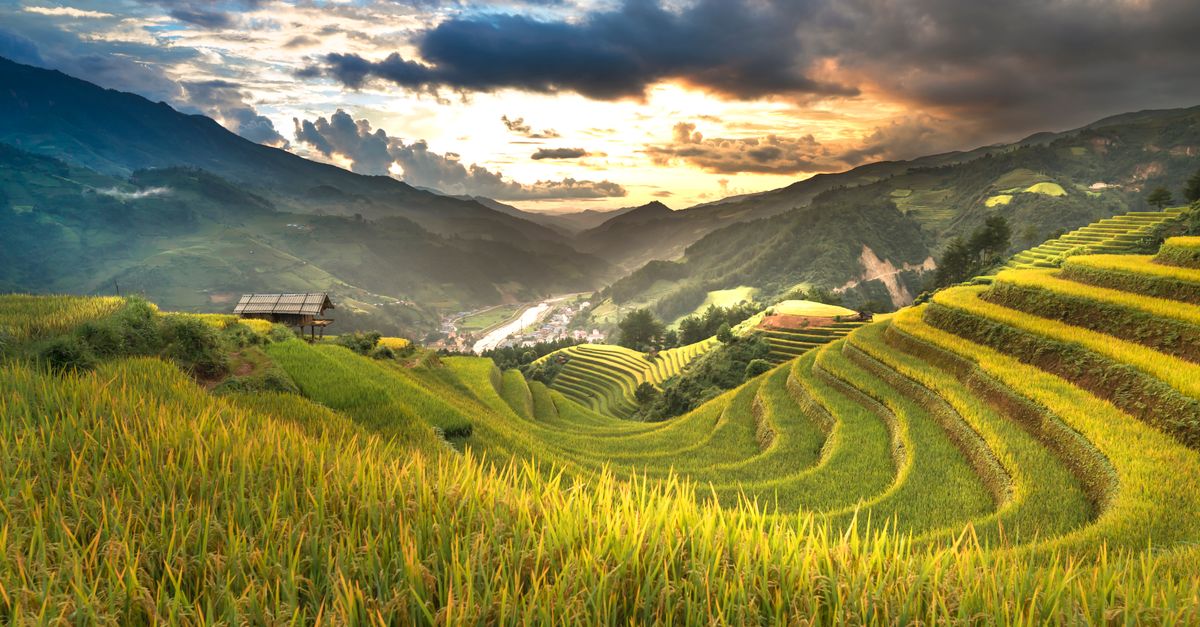 Stunning landscape of rice terraces at sunrise in rural Vietnam