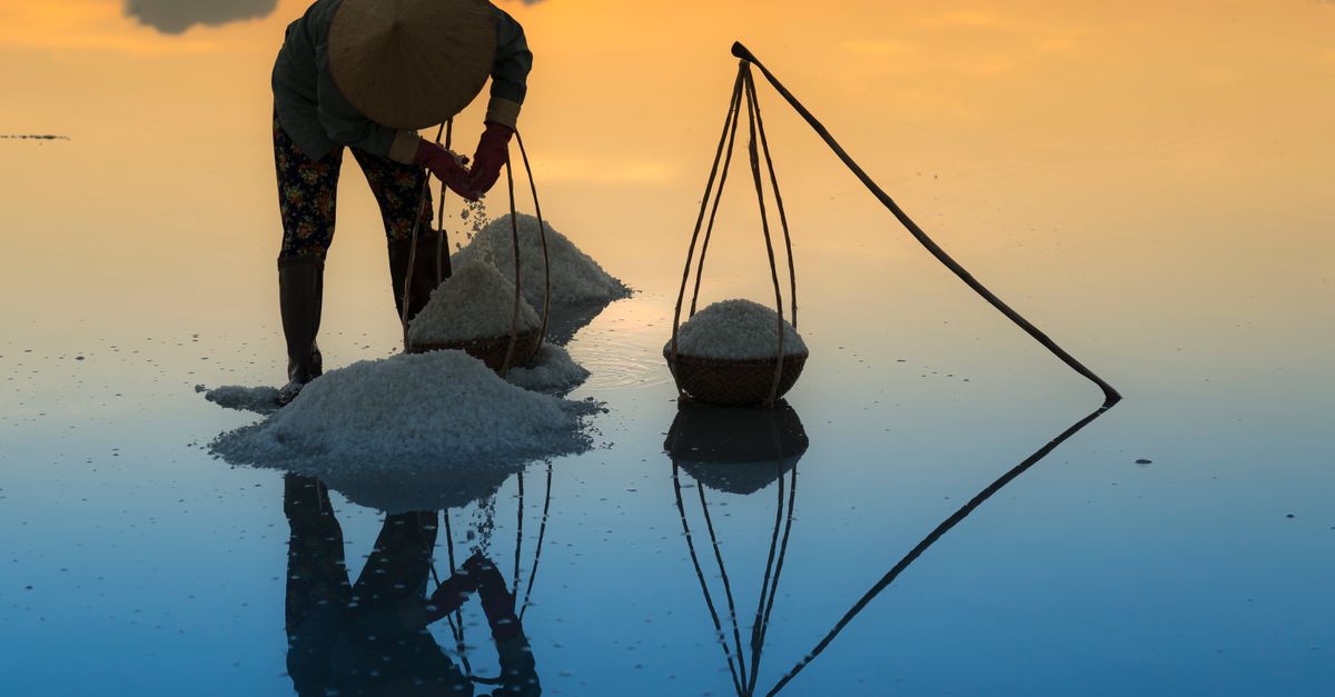 Bringing Salt Man Carrying Salt On Basket During Golden Hour · Free Stock Photo