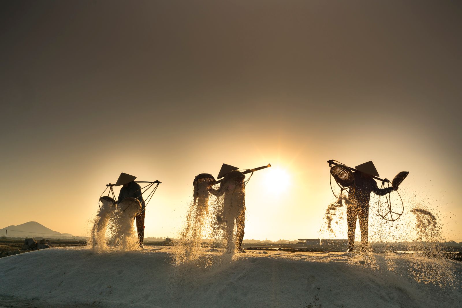 Still from The Salt Harvest: silhouetted harvesters casting salt on a coastal pan against a low sun. Photo by Quang Nguyen Vinh on Pexels