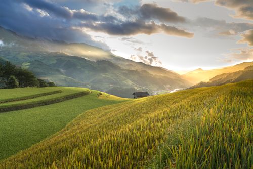 Free Breathtaking view of lush rice terraces against a mountainous sunset backdrop, capturing rural tranquility. Stock Photo