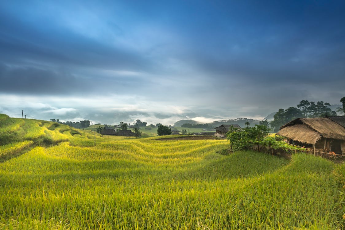 Casa Marrón Rodeada Por Campo De Hierba