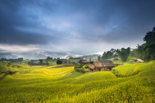 Kostnadsfri bild av åkermark, bondgård, dagsljus