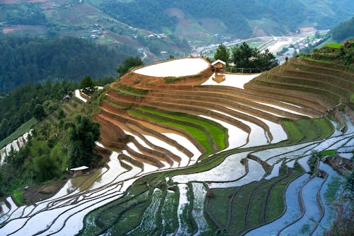 Foto d'estoc gratuïta de a l'aire lliure, a pagès, agricultura