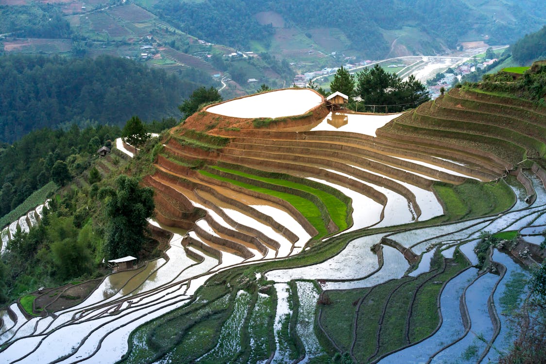 Terraces With Water