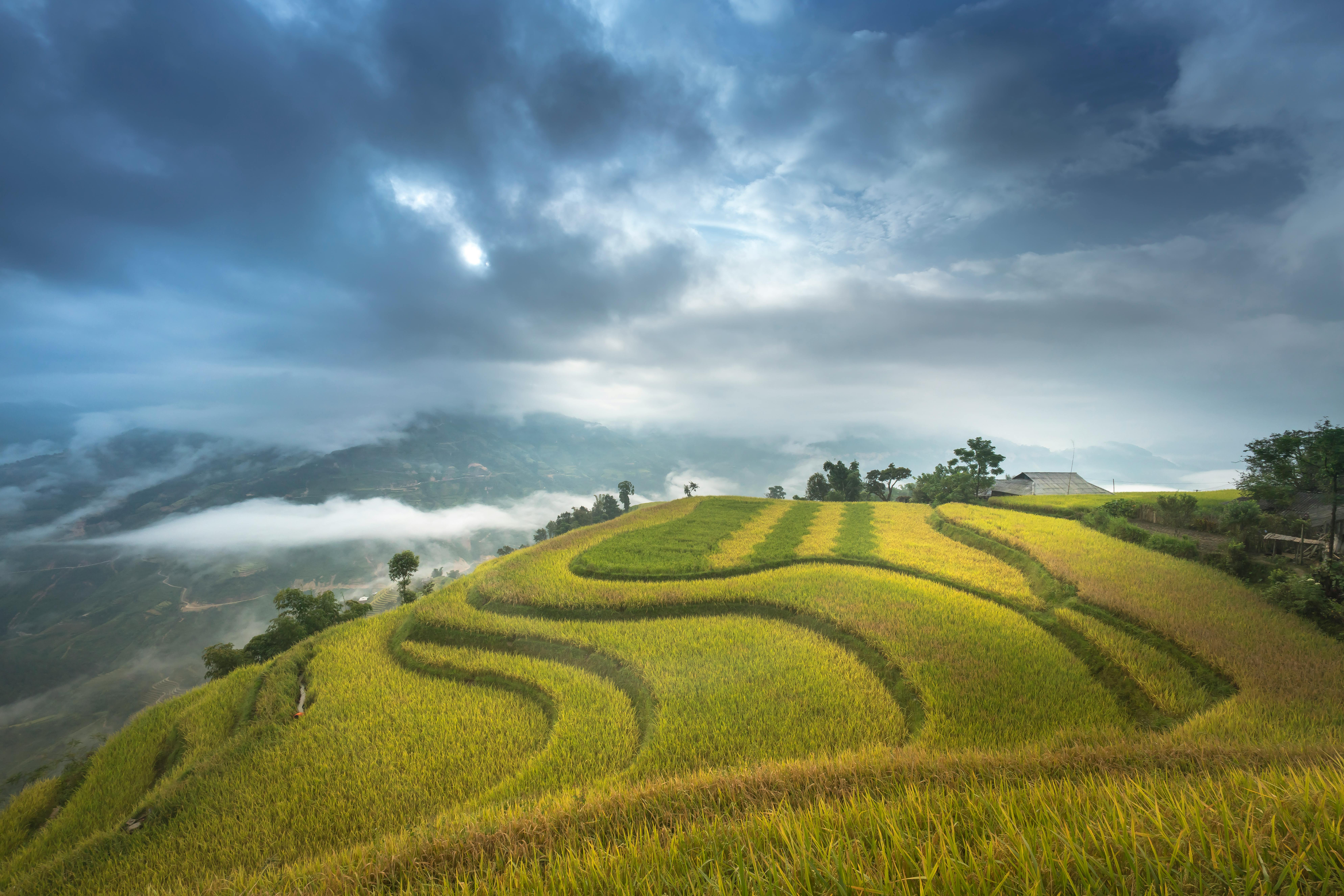美丽的梯田、戏剧性的云层和充满活力的绿色植物一直延伸到地平线