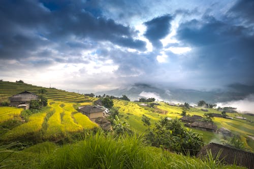 Houses Near Rice Terraces