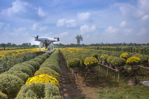 Imagine de stoc gratuită din agricultură, cameră de dronă, câmp