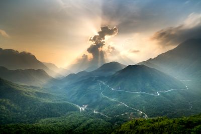 Fincas
