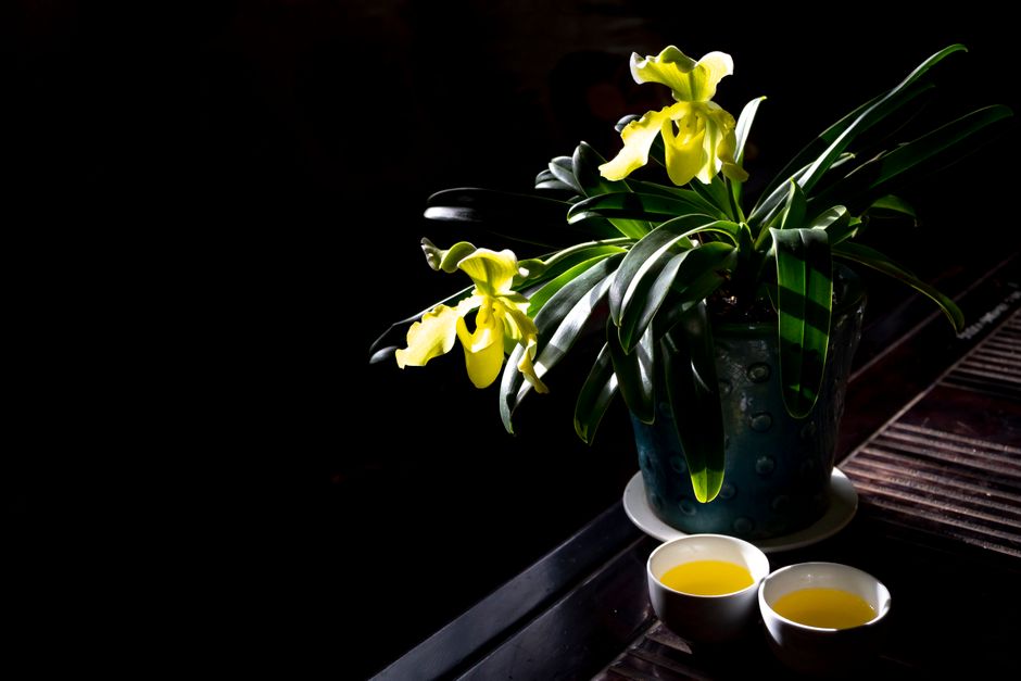 Serene scene of yellow orchids in a vase next to two teacups on a dark background.