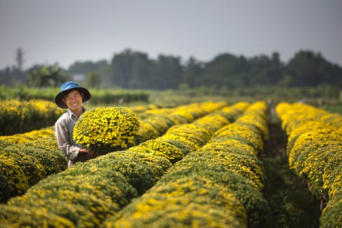 Мужчина держит желтые цветы