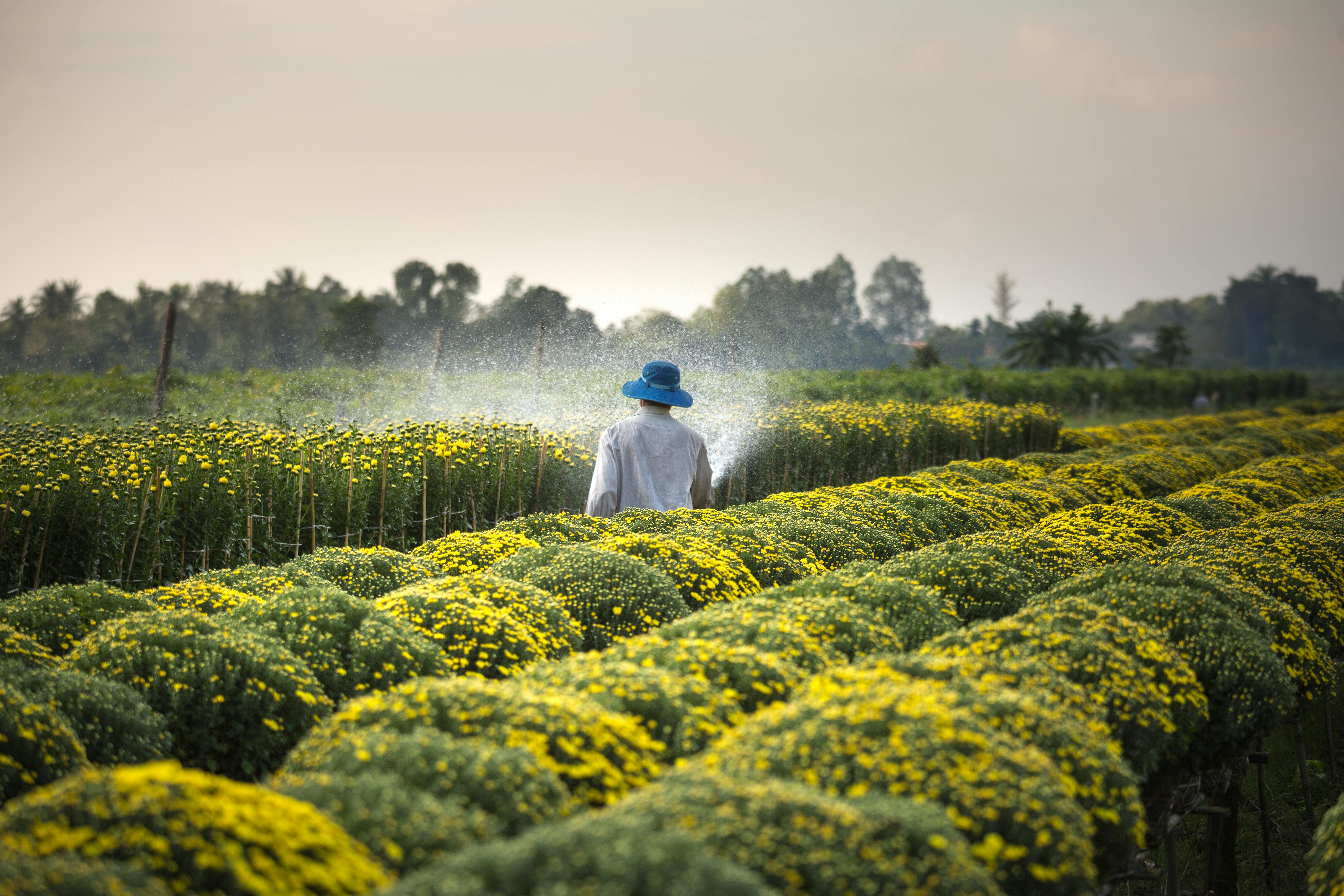 Agriculture 3d Stock Photos and Images - 123RF