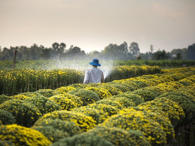 GreenGrow facility and natural farming