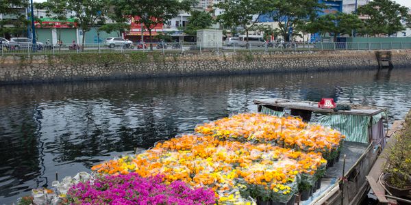 Kaifei Landscaping