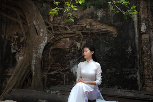 女人坐在树上，穿着白色的长袖缎裙
